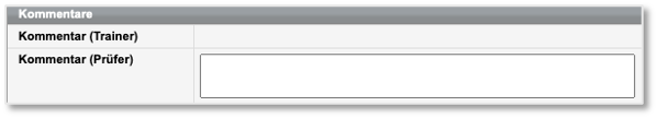 Kommentarfeld für Prüfer