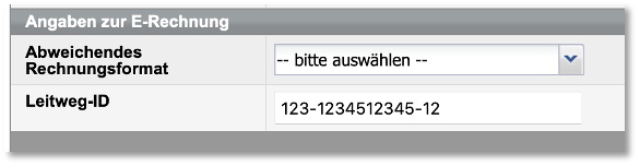 Angaben zur E-Rechnung in den Firmenstammdaten