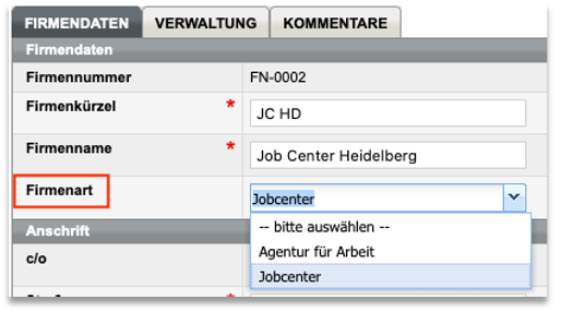 Firmenart in den Firmenstammdaten
