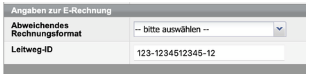 Angaben zur E-Rechnung