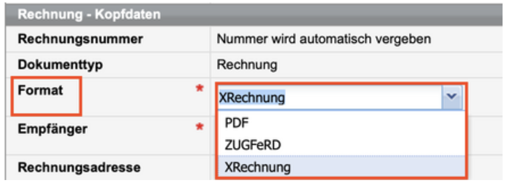 Angaben im Rechnungsformular